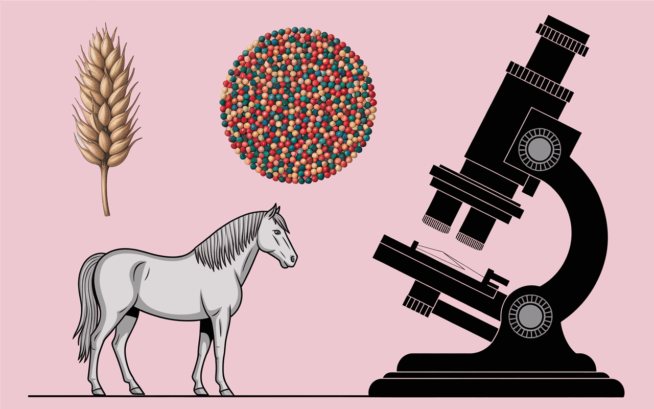 Illustration taille microplastiques comparée à grain de riz et cheveu