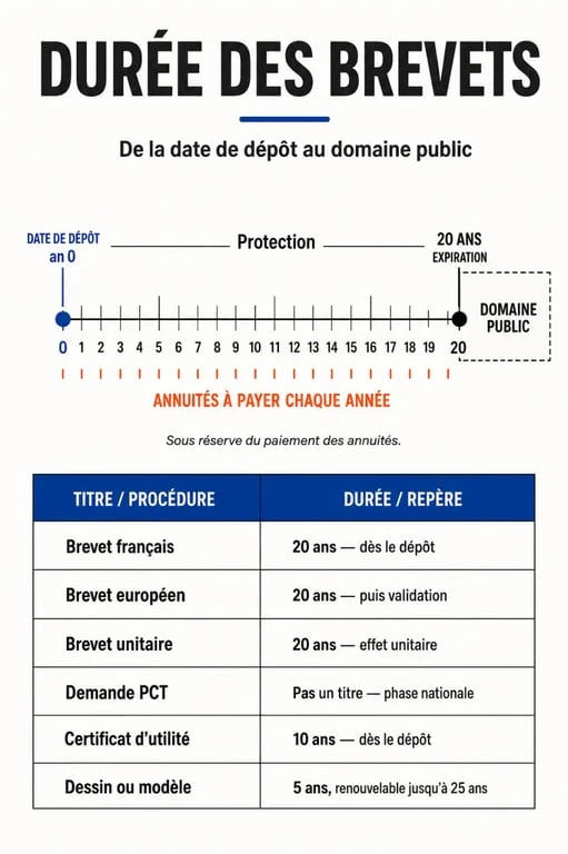 Infographie éditoriale sur la durée des brevets, les 20 ans, les annuités et l'expiration