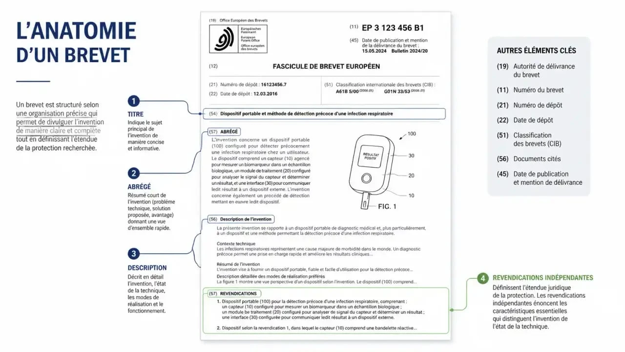 Structure d'un document de brevet et importance des revendications