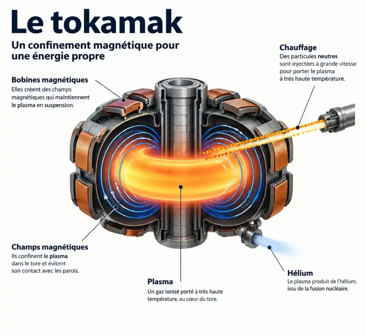 Schéma simplifié du tokamak du projet ITER de fusion nucléaire : plasma, confinement magnétique et chauffage